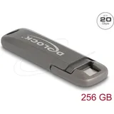 DeLock USB 20 Gbps USB-C Speicherstick 256 GB, Lesegeschwindigkeit 1980 MB/s
