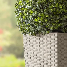 Prosperplast Rato Square 40 x 40 x 75 cm mocca