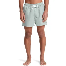 QUIKSILVER Everyday Deluxe Badeshorts Grün XXL