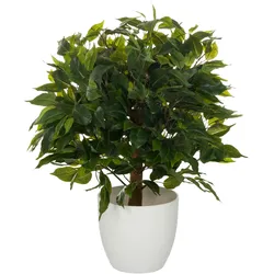 hjh OFFICE Kunstpflanze Ficus 871061