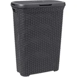 Curver Style Wäschebox 40L