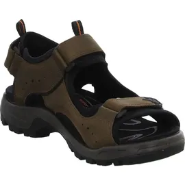 ECCO Offroad Herren nutmeg brown 41