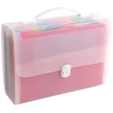 Exacompta 55698E Premium Kunststoff-Fächermappe Crystal mit Tragegriff und Clipverschluss für DIN A4 24 vollfarbige Fächer 2 Etikettenhalter für Visitenkarten inklusive 2 Etikettenbögen transparent