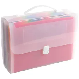 Exacompta 55698E Premium Kunststoff-Fächermappe Crystal mit Tragegriff und Clipverschluss für DIN A4 24 vollfarbige Fächer 2 Etikettenhalter für Visitenkarten inklusive 2 Etikettenbögen transparent