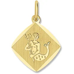 Sternzeichen-Anhänger ONE ELEMENT "Wassermann Sternzeichen Anhänger aus 333 Gelbgold", gold, Schmuckanhänger, Damen, Wassermann, Gelbgold 333, Damen Gold Schmuck Wassermann