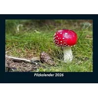 Vero Kalender Pilzkalender 2026 Fotokalender DIN A5 von Tobias