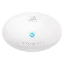 Nice Flood-Control Hochwasser- und Temperatursensor (FGFS-101 ZW5 EU)