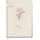 Häfft Häfft-Timer Buchkalender 2026 A5 "Dainty Flower" JANUAR DEZEMBER 2026, Hardcover Kalender, Terminplaner für junge Erwachsene - nachhaltig & klimafreundlich