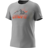 Dynafit Transalper Graphic T-Shirt grau