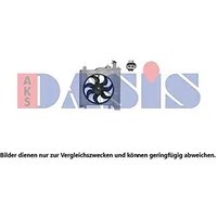 AKS DASIS 068057N Kühlung