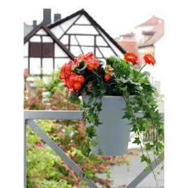 KHW Flowerclip Ø 27 x 27,5 cm Beere