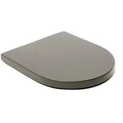 Roca WC-Sitz Inspira Onix Kunststoff A80152C64B