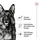 Royal Canin Maxi Ageing 8+ 15 kg