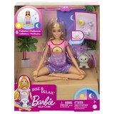 Mattel Barbie HHX64 Puppe