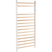Sport-Thieme Sprossenwand Nordic