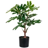 VCM ebuy24 Kunstpflanze Feige Grün 40 x 40 cm | Gr.: onesize