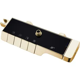 REA Duschgarnitur mit Thermostat ROB Gold Duschset Duscharmatur mit Duschkopf und Kopfbrause aus Messing für Badezimmer (Gold)