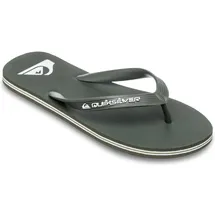 QUIKSILVER Molokai Core khaki 43