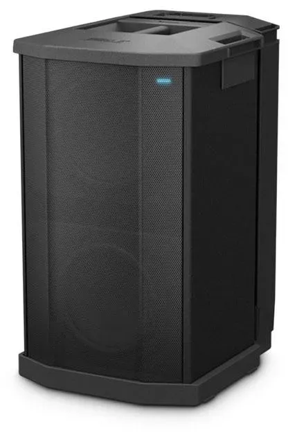 Bose F1 Subwoofer