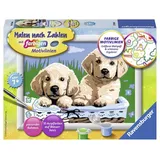 Ravensburger Süße Hundewelpen Malen nach Zahlen 10 St. mehrfarbig
