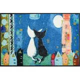 Wash+Dry Romance 40 x 60 cm Blau