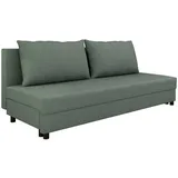 Homesy Schlafcouch 2-Sitzer Grün