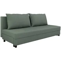 Homesy Schlafcouch 2-Sitzer Grün