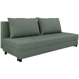 Homesy Schlafcouch 2-Sitzer Grün