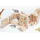 Metrie Holzbausteine Quader flach und breit 26 cm