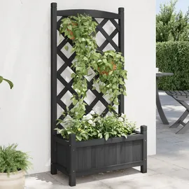 vidaXL Pflanzkübel mit Spalier 194 x 40 x 120 cm Schwarz