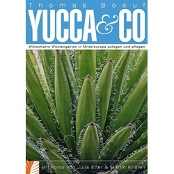 Yucca & Co - Thomas Boeuf  Kartoniert (TB)