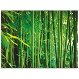 Artland Glasbild Bambus, Gräser, (1 St.)