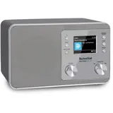 TechniSat DigitRadio 307 BT silber