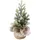 Boltze Künstlicher Tannenbaum Grün 22 cm