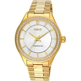 TOUS 200350520 - Goldfarben/Grau