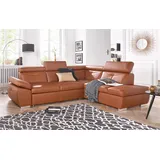 exxpo - sofa fashion Ecksofa »Spring, super bequem und komfortabel mit Armteil- und Kopfteilfunktion«, wahlweise mit Bettfunktion und Bettkasten, L-Form braun