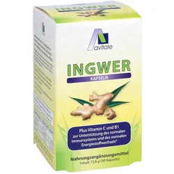 Avitale Ingwer
