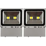 Greenmigo 2X 100W LED Fluter Außen Kaltweiß Flutlicht Strahler Scheinwerfer IP65 Baustrahler Leuchtmittel Strahler