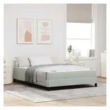 vidaXL Boxspringbett 160 x 200 cm Hellgrau