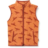 Playshoes Fleece Weste Unisex Kinder Outdoor-Oberteil, Dinos, 98