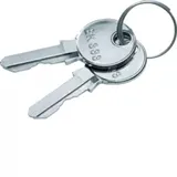 Hager FZ539