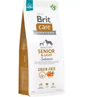 Brit Care Senior & Light Salmon 12kg