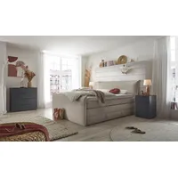 Set One by Musterring Boxspringbett "Florida", grau (hellgrau), L:228cm,