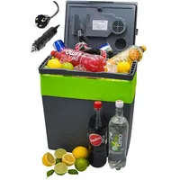 Steinborg Kühlbox 30L 30 l