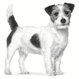 Royal Canin Veterinary Hypollergenic Small Dog 3 kg