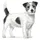 Royal Canin Veterinary Hypollergenic Small Dog 3 kg
