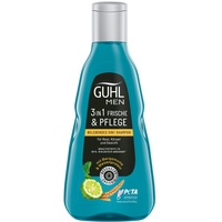 Guhl Men 3in1 Frische & Pflege Shampoo 250 ml