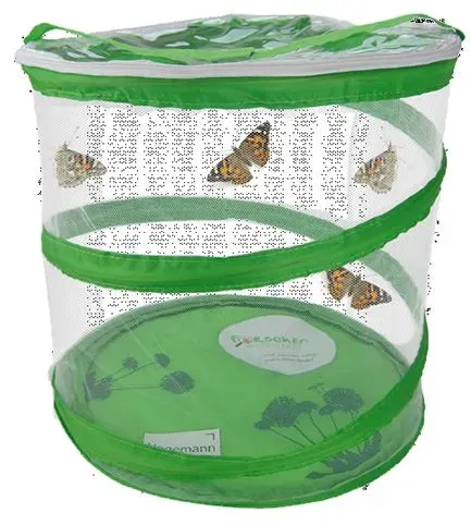Schmetterlings-Geschenk-Set