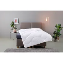 MY HOME Microfaserbettdecke MY HOME "Fantasy, Bettdecke 135x200 cm, 155x220 cm, 200x200 cm, 200x220 cm", weiß, B:200cm L:220cm, Bezug: 100% Polyester. Füllung: 100% Polyester, Bettdecken, Microfaserbettdecke, Bettdecken, in 3 Bezugsqualitäten für Sommer, Winter