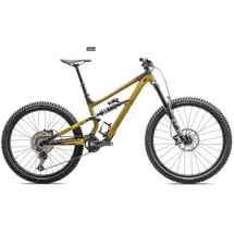 Specialized Status 2 2024 29 Zoll RH 3 cm gold